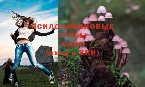 марки nbome Алзамай