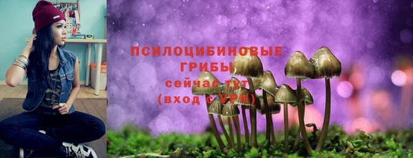 стафф Алексеевка