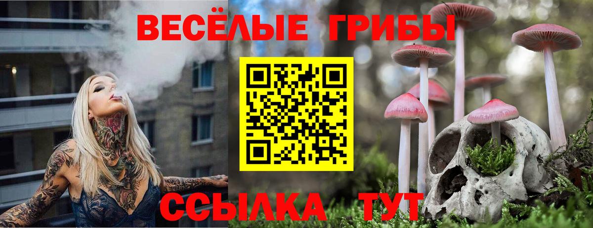 Галлюциногенные грибы Cubensis Ступино