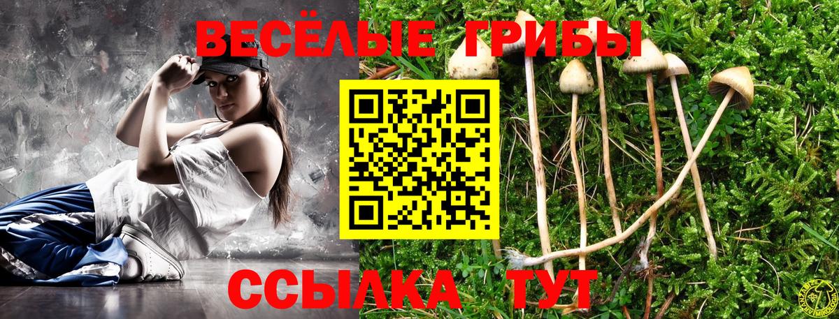 Галлюциногенные грибы Psilocybe  Вход с VPN  Галлюциногенные грибы мицелий  Ступино 